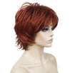 Short Layered Shaggy Full Synthetic Wig Wigs 12TT26 Brown Highlights